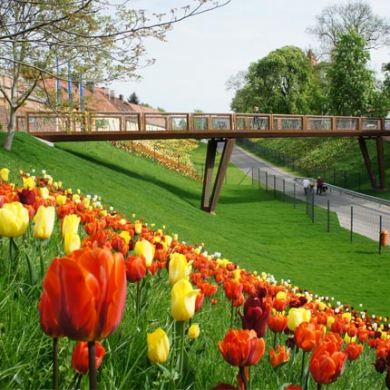 Passerelle Crossline